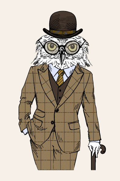 Anthro Owl Character Yankel Plunker Anthropomorphic Art Display Image